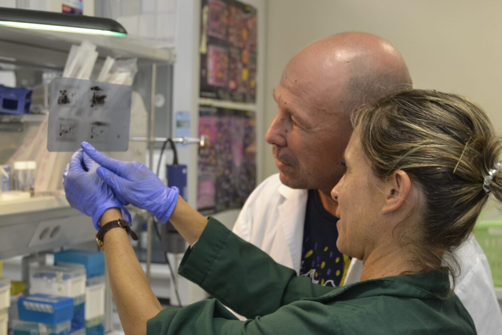 Un cumpleaños feliz para Alofisel